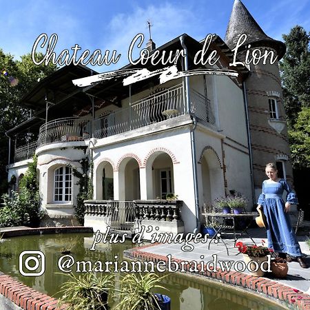 Chateau Coeur De Lion Chateauponsac Luaran gambar