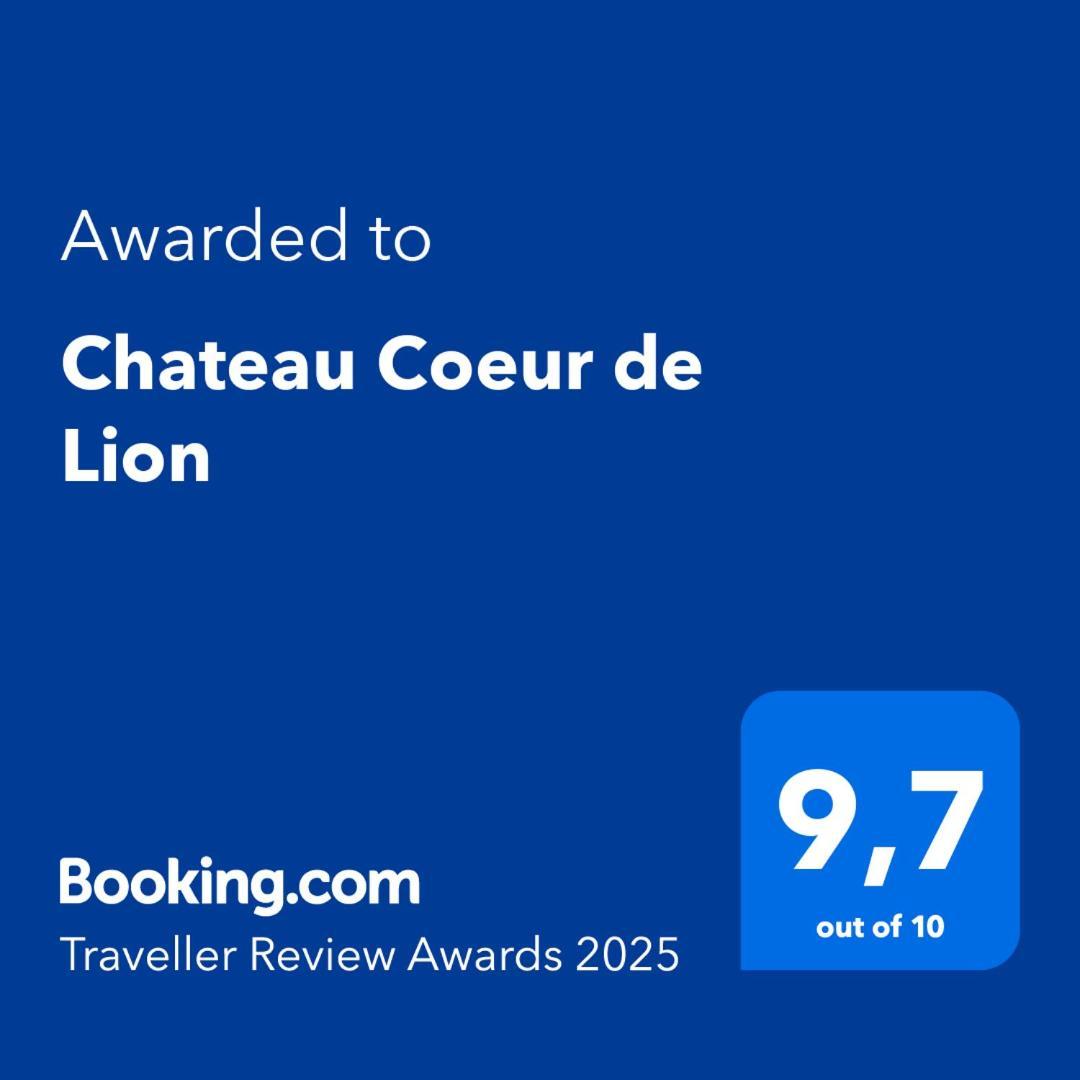 Chateau Coeur De Lion Chateauponsac Luaran gambar